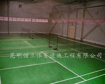 省政協羽毛球館工程