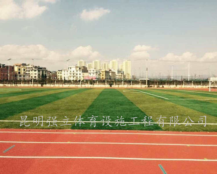 玉溪第六中學運動場建設項目